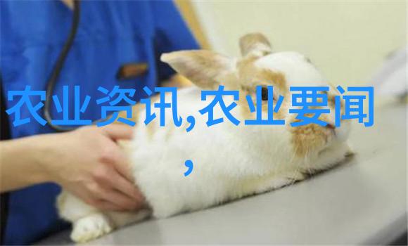 部署加强渔业畜牧业安全生产工作