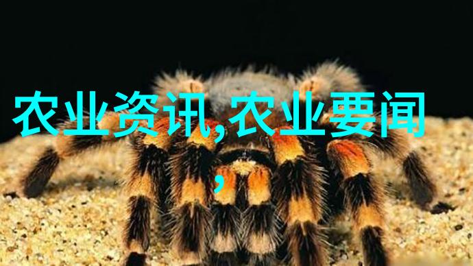习出席澳门特别行政区政府欢迎晚宴并发表重要讲话